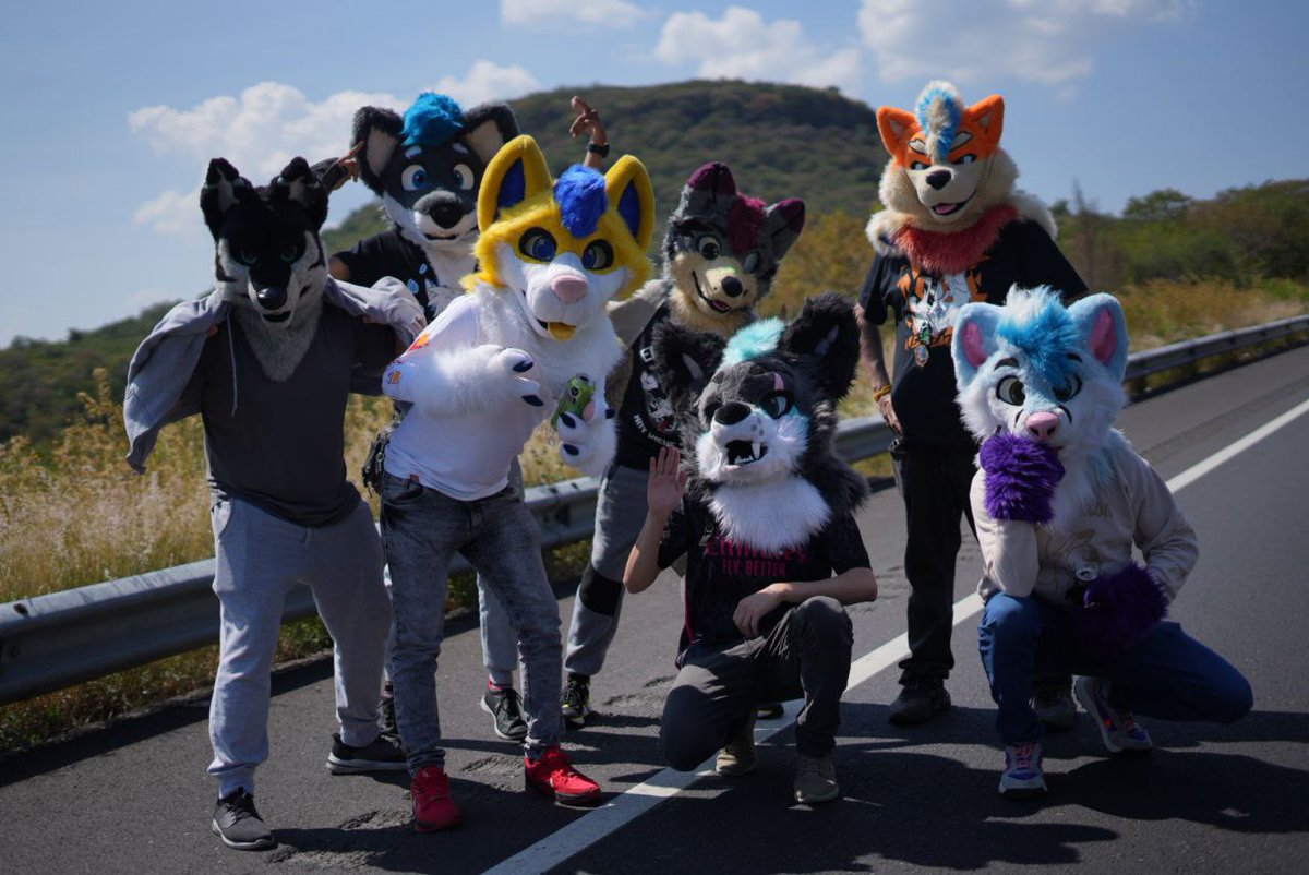 🇲🇽 Metalpup 🐾⭐Waggy Curl⭐🐾 tweet media