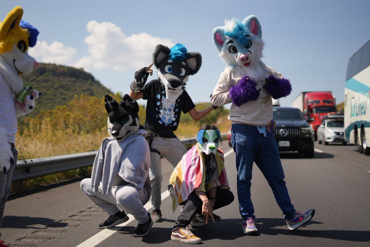 🇲🇽 Metalpup 🐾⭐Waggy Curl⭐🐾 tweet media