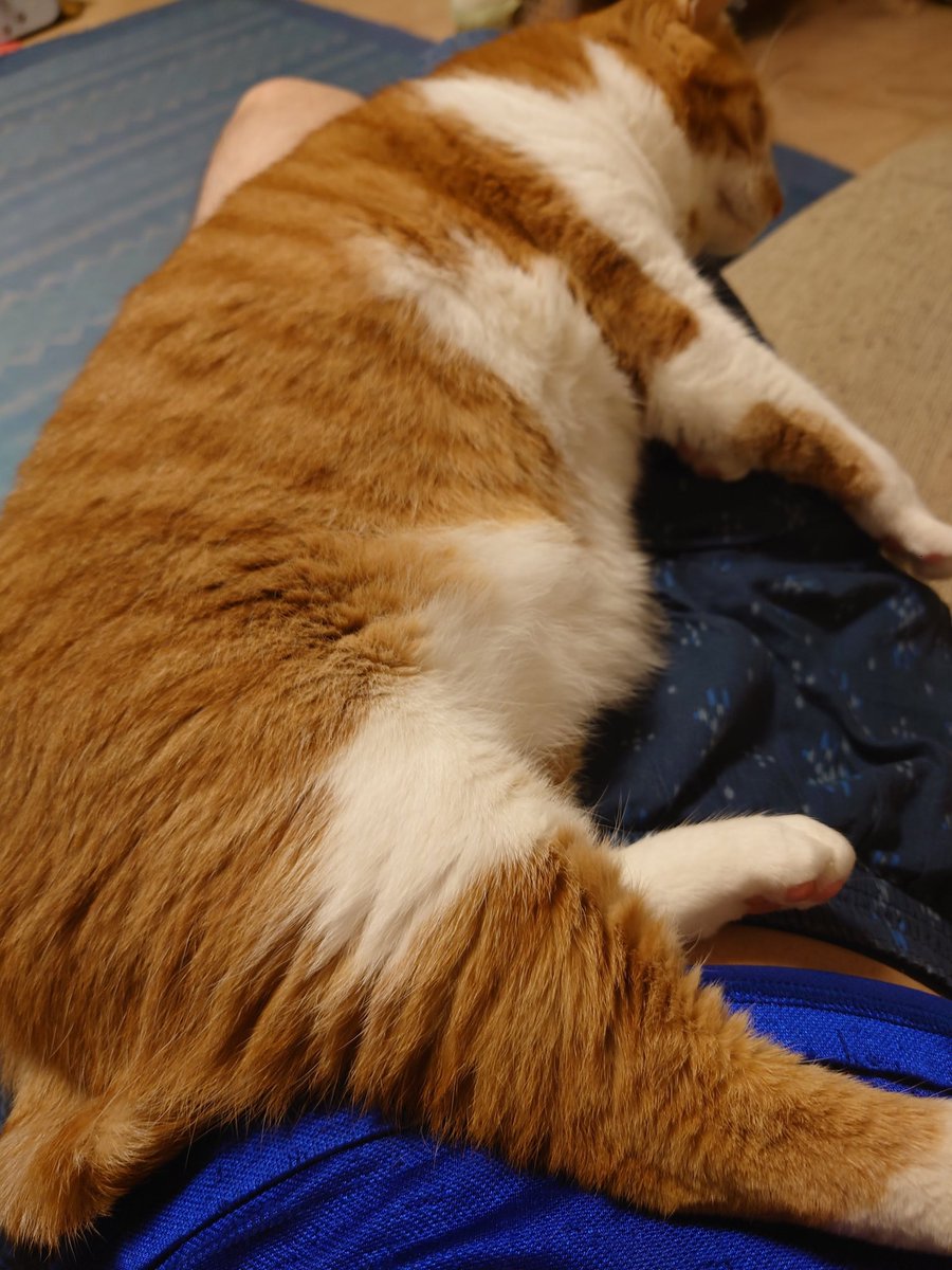 チーさん (@hirobou8032) / Posts / X