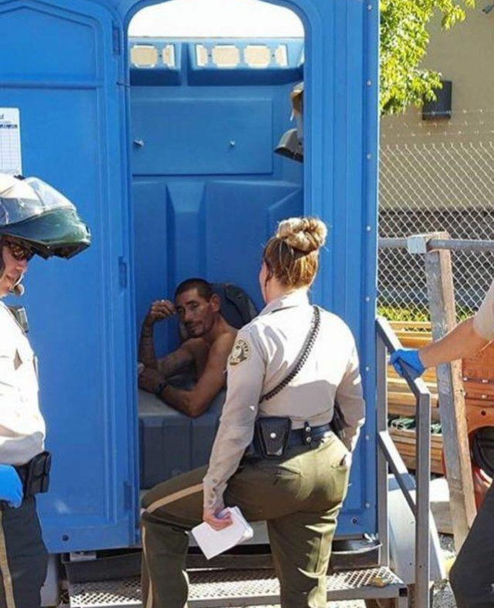 ShibesOnTwit's tweet image. This how ice is gonna find me