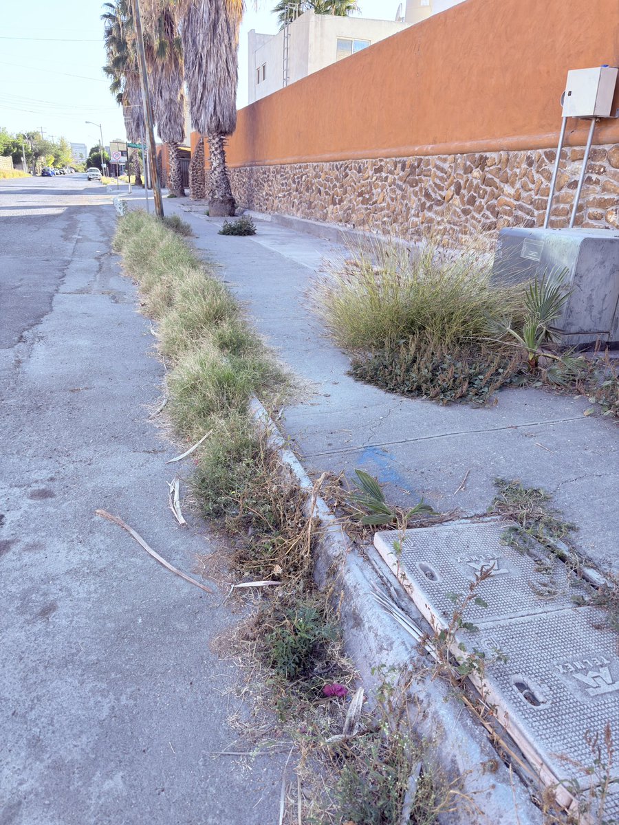 Carlos Ch. tweet media