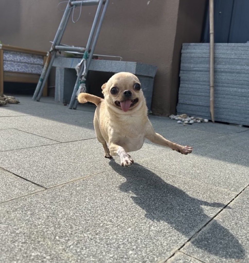 Hermit and Pig demo + 

Thanks <a href="/Keymailer/">Keymailer</a> !
twitch.tv/Abbby