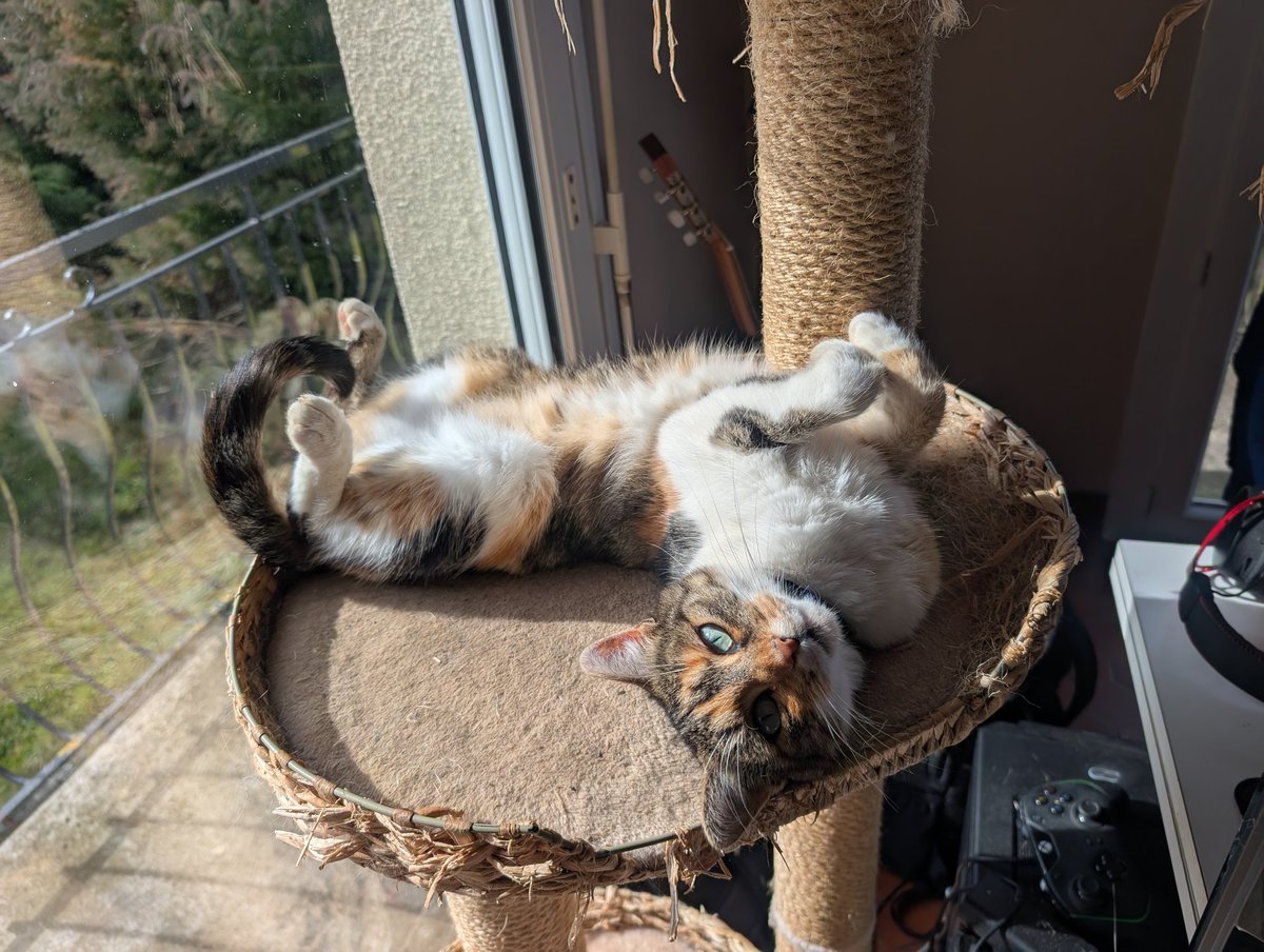 Epinera29's tweet photo. @gomar_melade Némésis dans une position de chat quoi ... 😅 https://t.co/w60C9s5Qfs