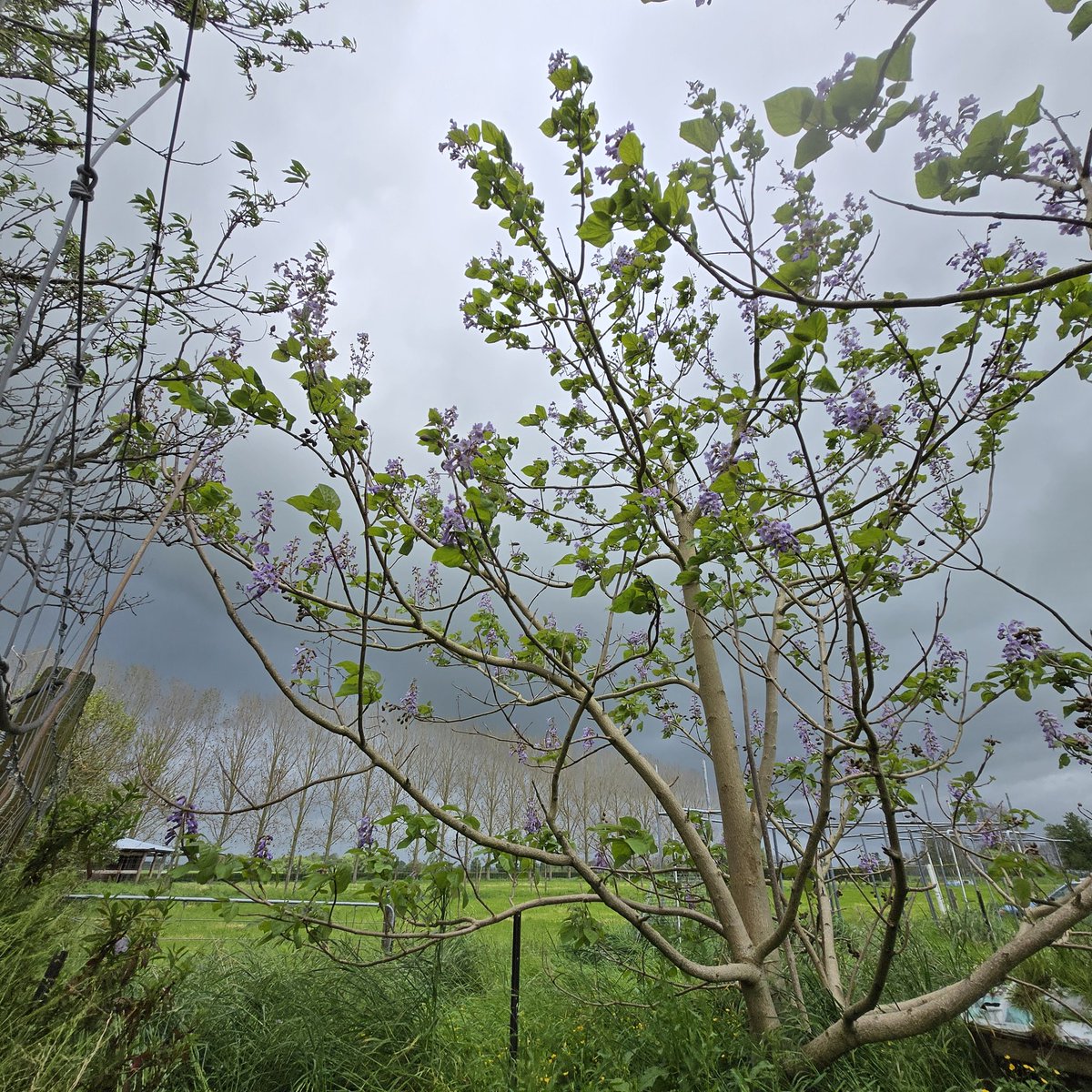 Incoming....🌧
<a href="/WeatherWatchNZ/">WeatherWatch.co.nz</a>  <a href="/MetService/">MetService</a>  <a href="/HaurakiGulfWx/">Hauraki Gulf Weather</a>