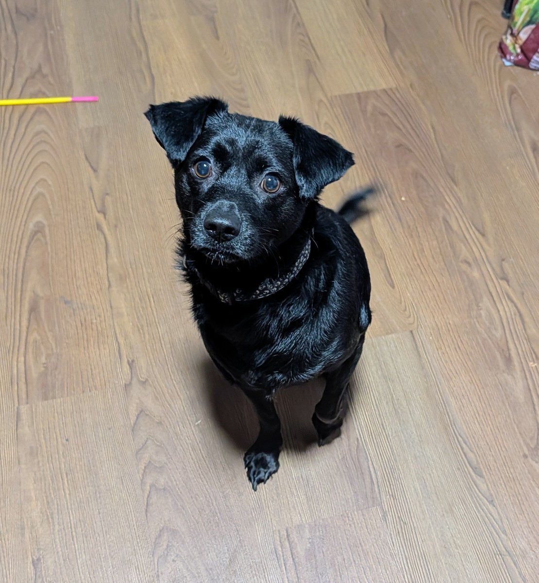 💜🅝︎🅘︎🅚︎🅝︎🅐︎🅚︎💜 tweet media