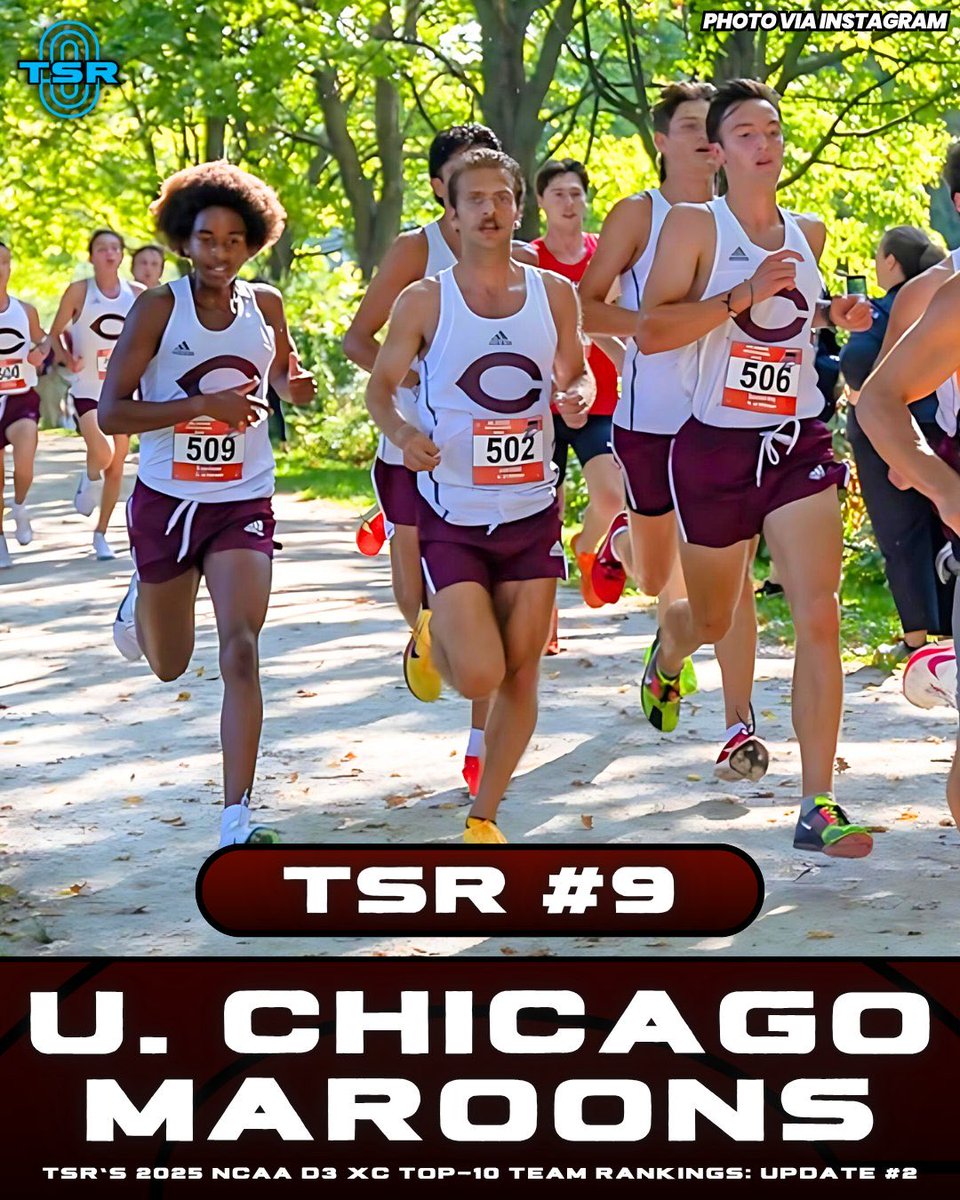 The Stride Report tweet media