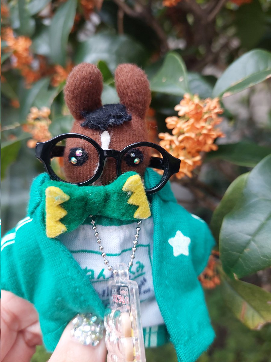 ╰(*´ゆ`*)╯ 008-481-05-scaled.jpg