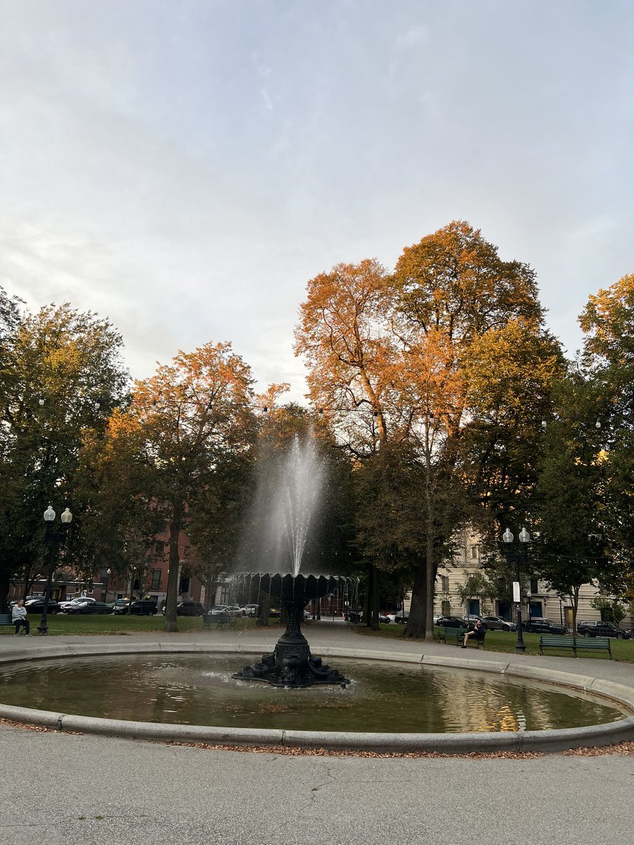 chronicnovice's tweet image. Watching light hit buildings?! Or TREES?!! Duuuuuude