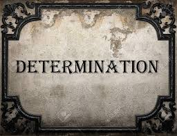 <a href="/FlawsyTre/">LawDawg 🐕</a>