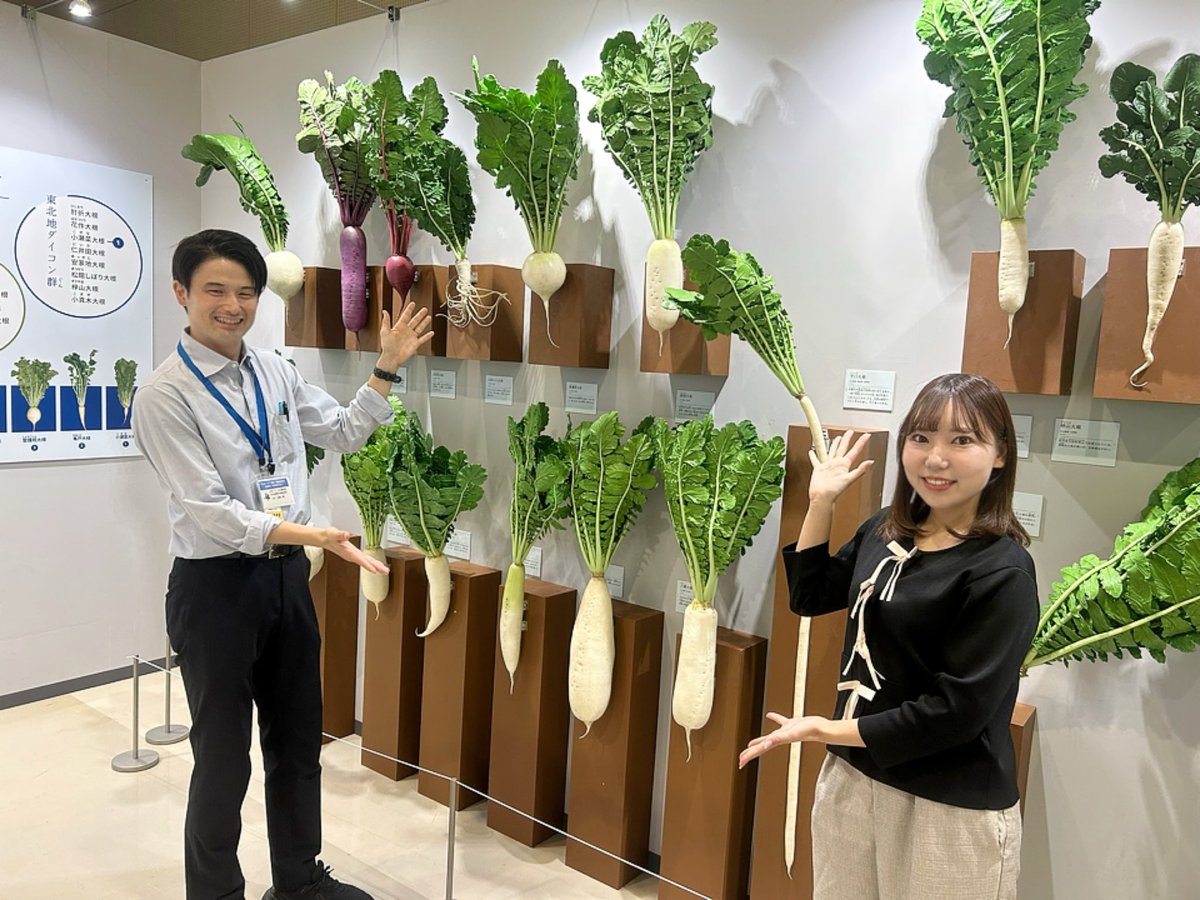 海砂利水魚、鉄崎幹人 ちらし 海砂利水魚、鉄崎幹人 ちらし 海砂利水魚