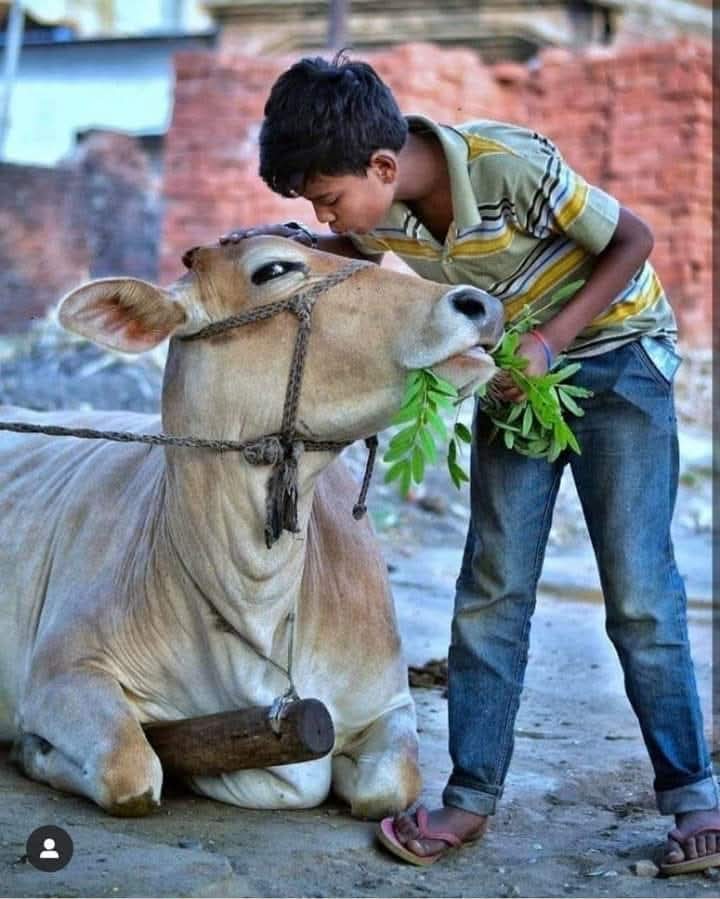 *गरज पडल्यास गोड गोड* *बोलणं ठीक आहे, मात्र* *गरज भागल्यास* *उपकारकर्त्यावरच गरळ* *ओकत राहणं अगदी* *चुकीचं आहे.* 
  🌹🌹 *शुभ सकाळ* 🌹🌹