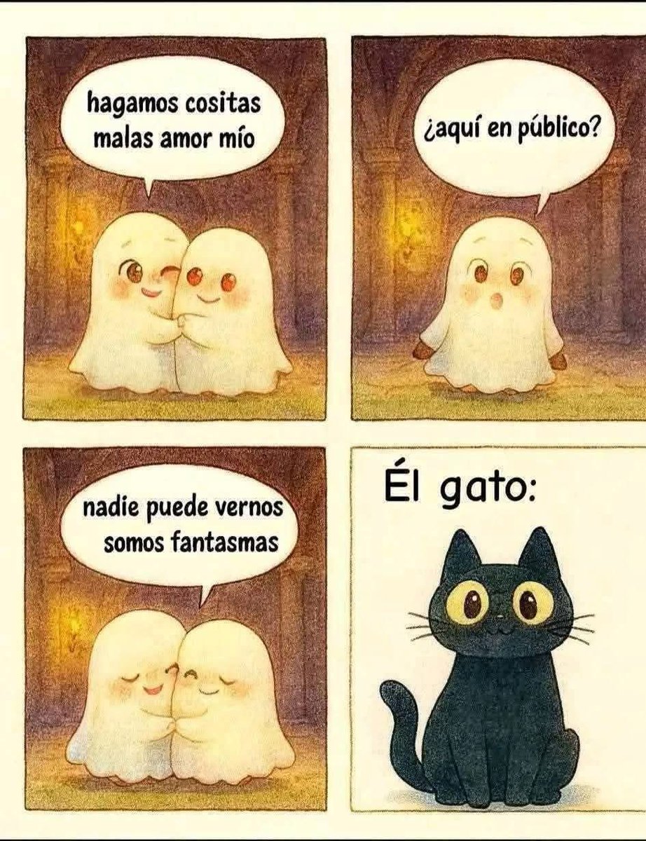 Che michi!! 😹💦