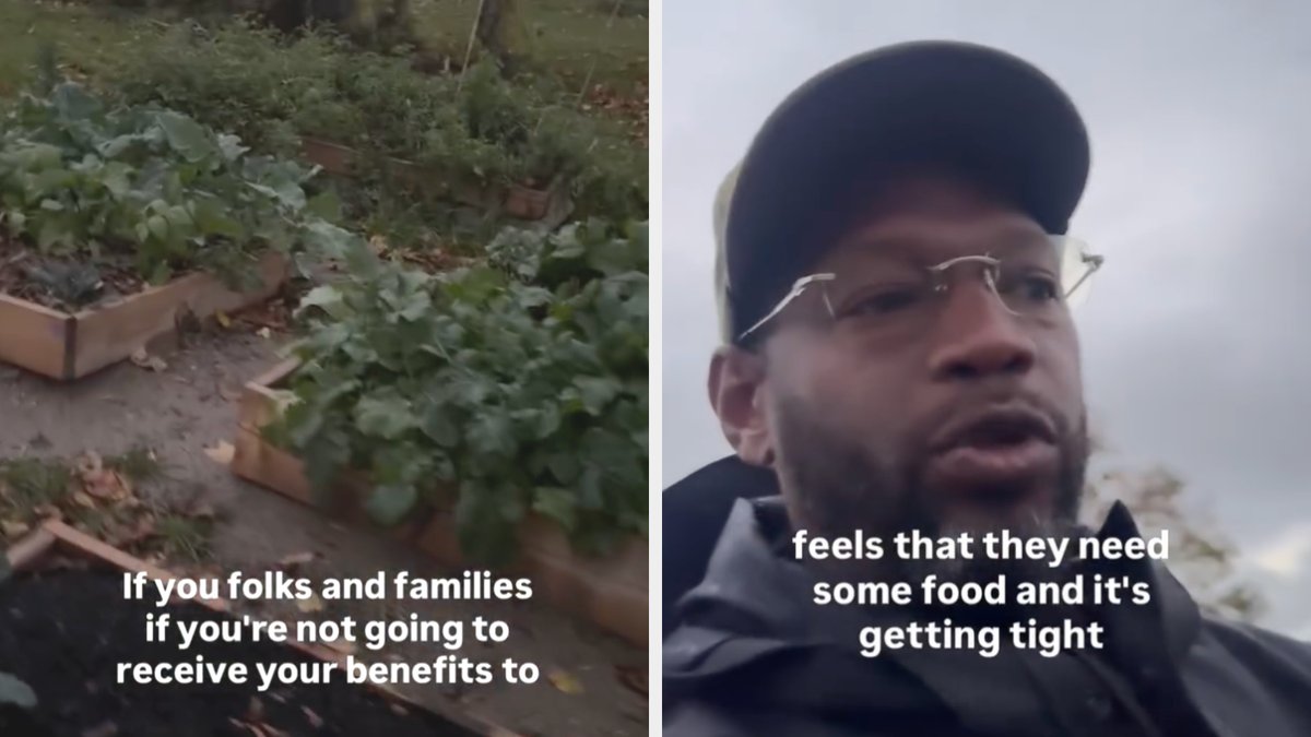 Phil_Lewis_'s tweet image. The government shutdown has put SNAP benefits at risk for millions of Americans. Travis Peters, an urban farmer in Detroit, is giving out free produce tomorrow
'If it's getting tight, my food is free. Don’t even sweat that'
whatimreading.net/p/snap-benefit…
