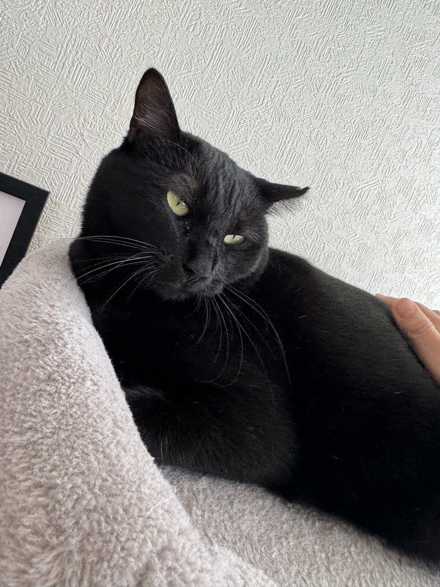 armitage (@armitageamichan) / Posts / X