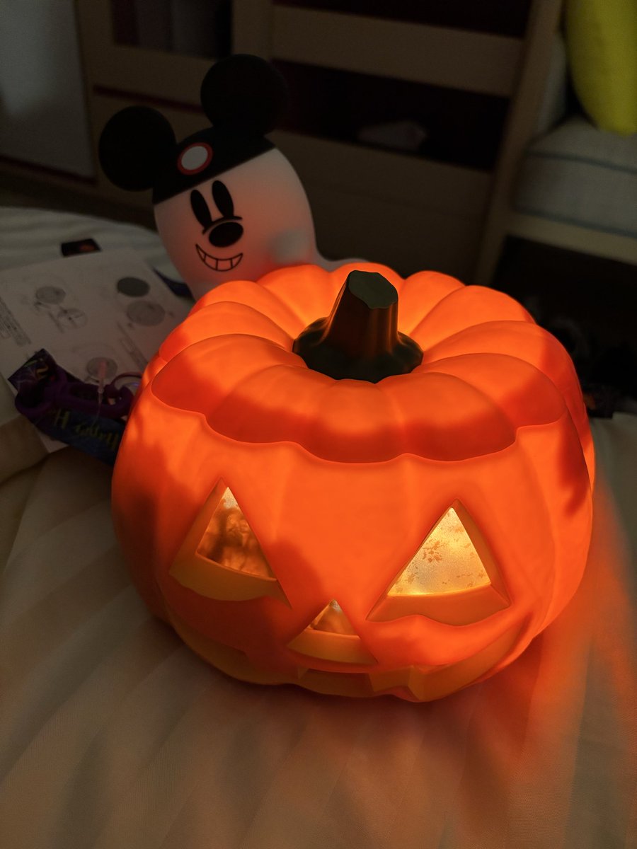 久しぶりのディズニーハロウィン
全身仮装の人がたくさんいて
色んな意味で楽しかった！

しかしこのポップコーンバケット
可愛過ぎん？🎃
