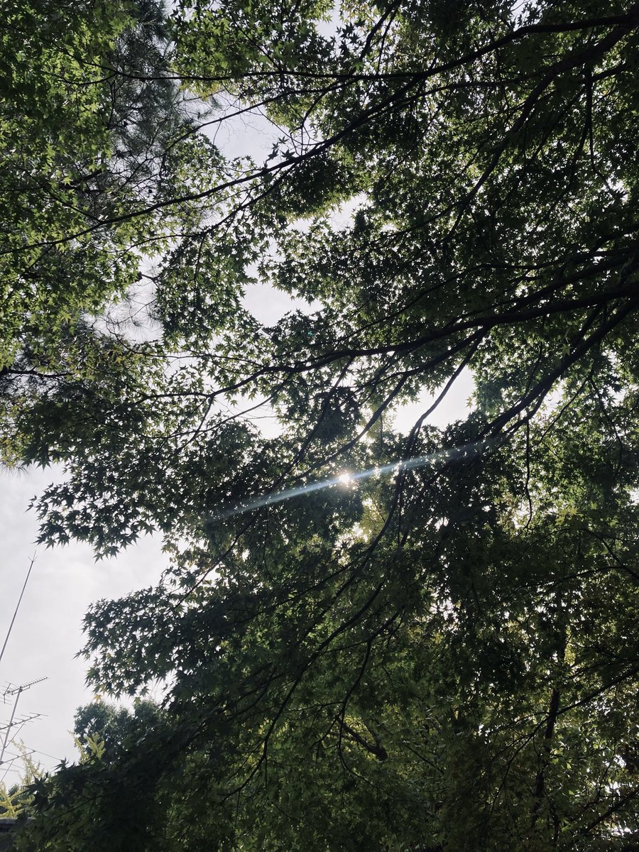 chokodark1's tweet image. 기억하길 바란다던 그것
기억하고 있다

지금, 여기서
행복할 것