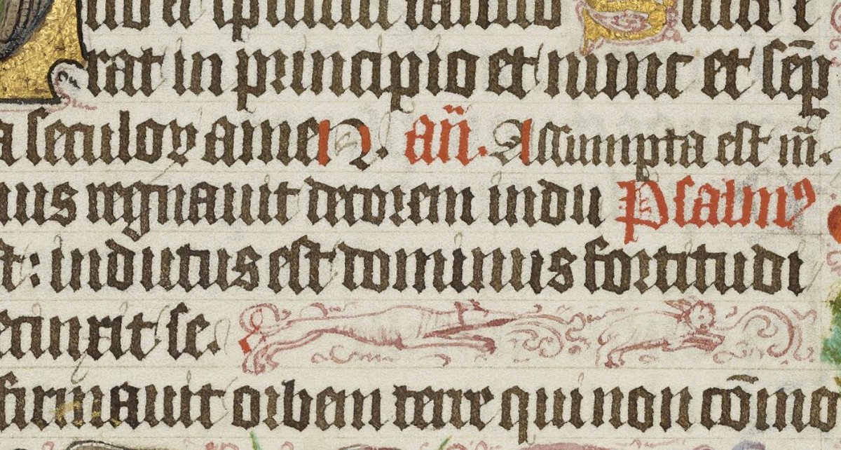 Emily Steiner tweet media