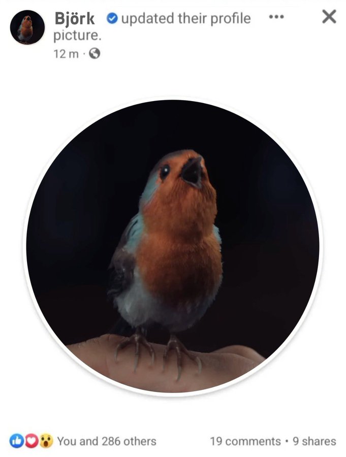 alf santiago tweet media