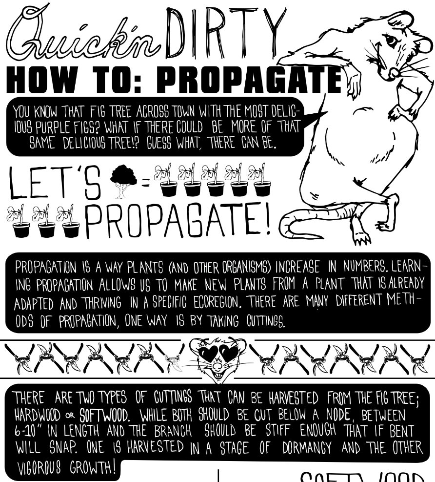 Might be time to learn how to propagate fruit trees and other edible plants. Full how-to comic here:

earthboundfarm.substack.com/p/how-to-propa…