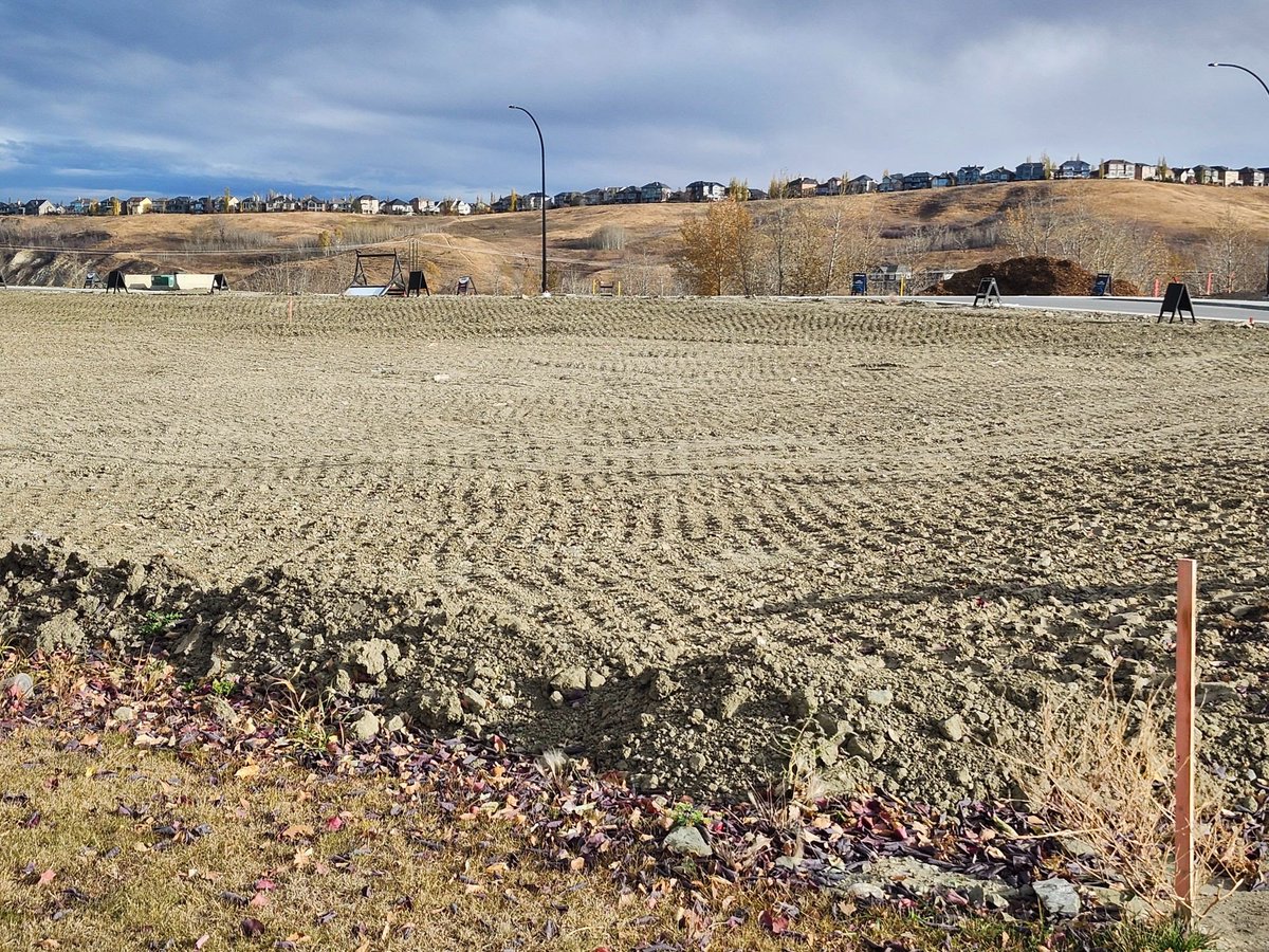 WalkingCalgary's tweet photo. Here’s the first glimpse of #WolfWillow through our lens.
#Calgary #yyc https://t.co/TwsnAldjVV