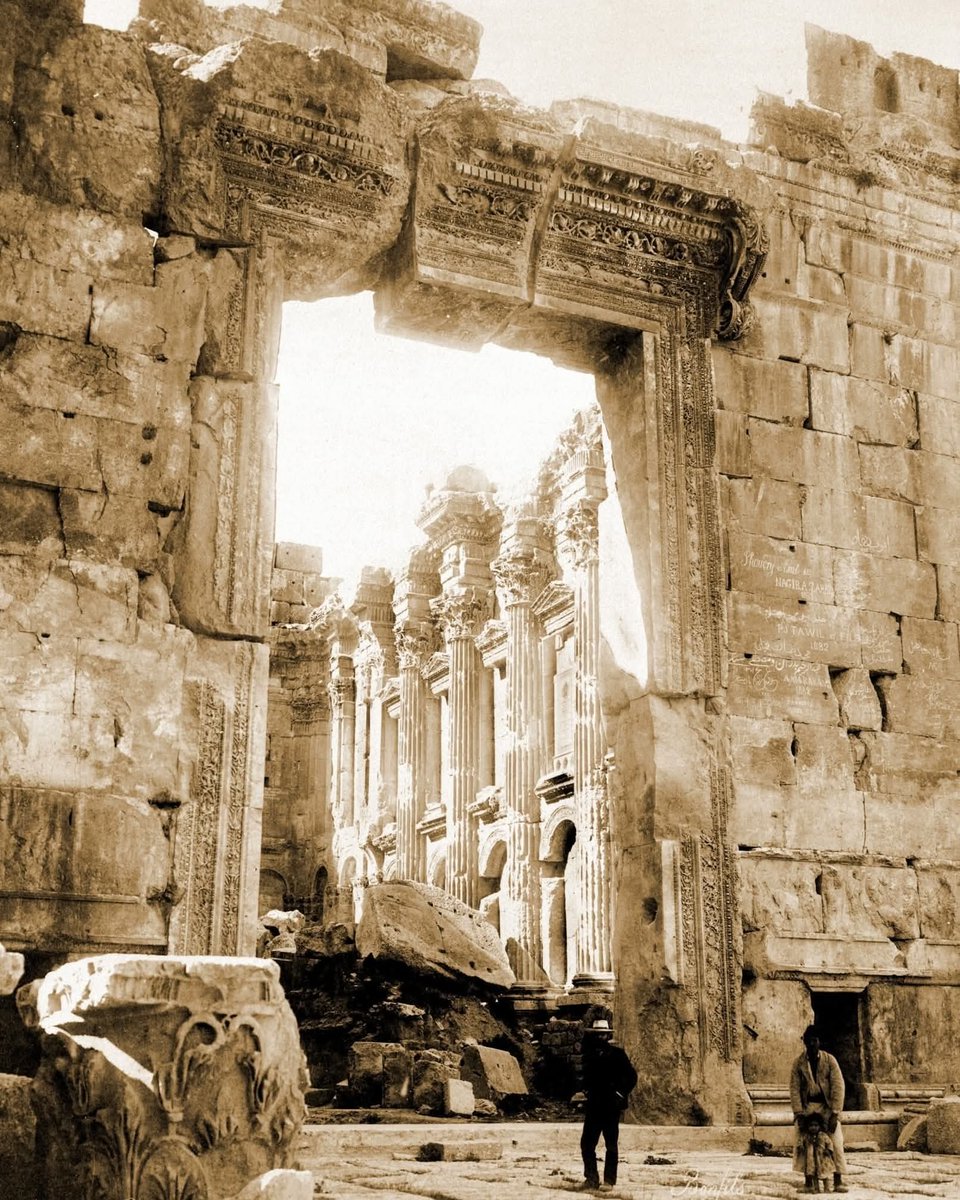 ἄχθος ἀρούρης (@daemondiomedes) on Twitter photo 