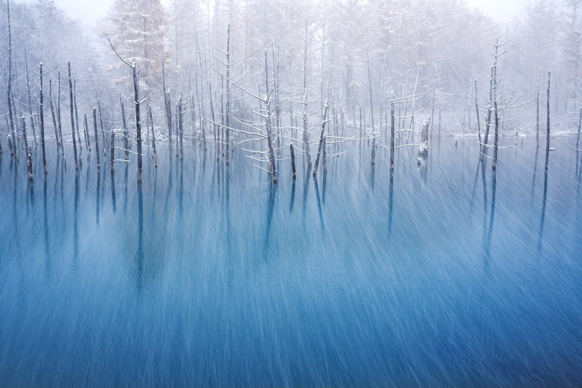 hiroshi_tanita's tweet image. 雪の音が、水面に溶けていく。
冬の気配が届いていてくる季節になってきました。

#北海道 #美瑛 #青い池