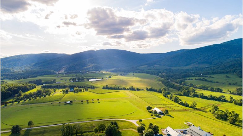 ValleyUVAfan's tweet image. Fact: Virginia produces better wine than California.
Photo Credit- Trump Winery, King Family Vineyard, Jefferson Vineyard 
@WilcoxCHat @Calgorithm_ATF #calgorithm