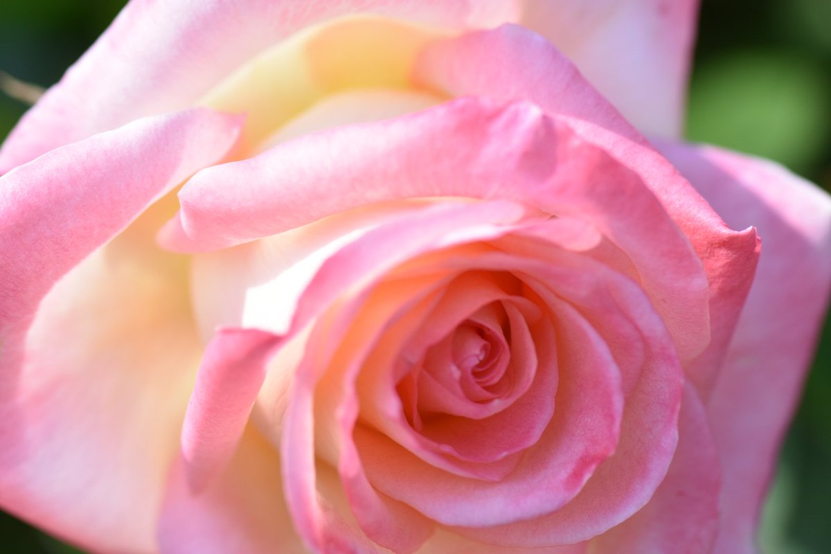 かじやん (@h_kajino) / Posts / X