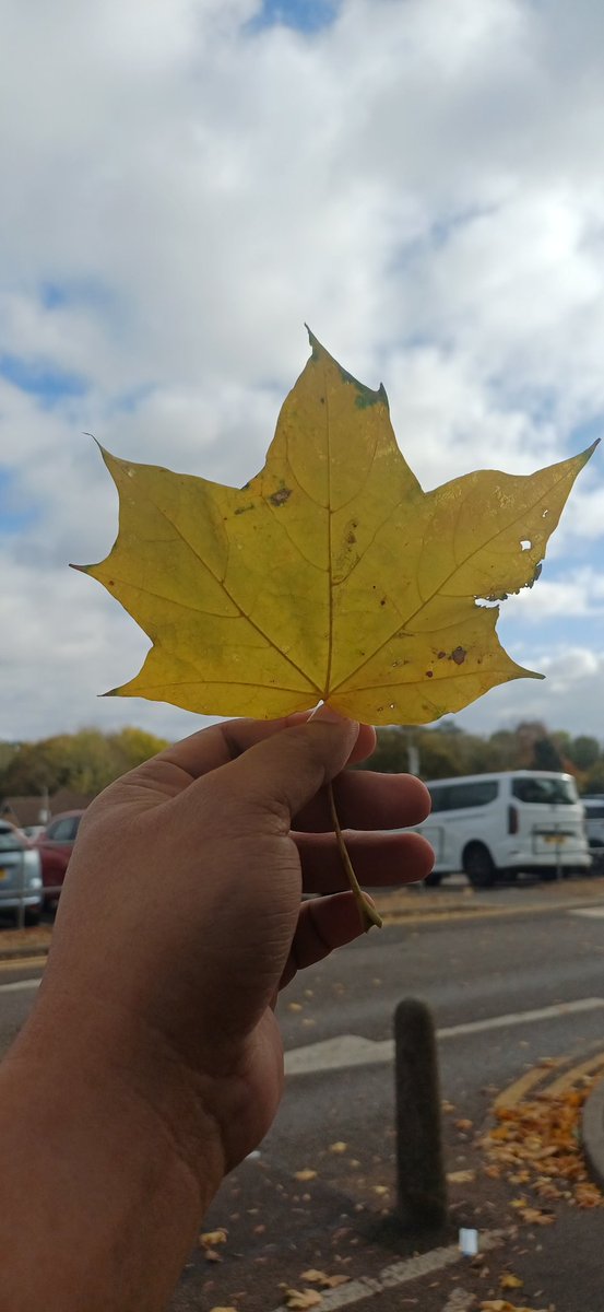 01kellythomas's tweet image. There is always a time for everything — a time to leave, to sacrifice, to dream, and to come home. 

In God’s perfect time, all efforts and longing will be rewarded. Keep believing, your time will come. 🩷🌹

#kellysays #posttoshare #viralpost