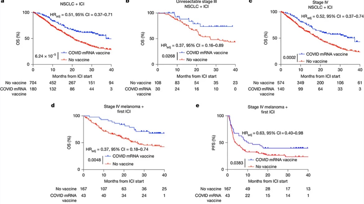 meredith_2020's tweet photo. low-IQ MAHA dunces will lie &amp; tell you that the covid vax causes cancer so they can sell you snake oil. 

meanwhile research proves the opposite: new Nature paper shows it actually sensitizes cancers to immune checkpoint inhibitors (making them more treatable) &amp; prolongs survival https://t.co/qskKQsRu7p