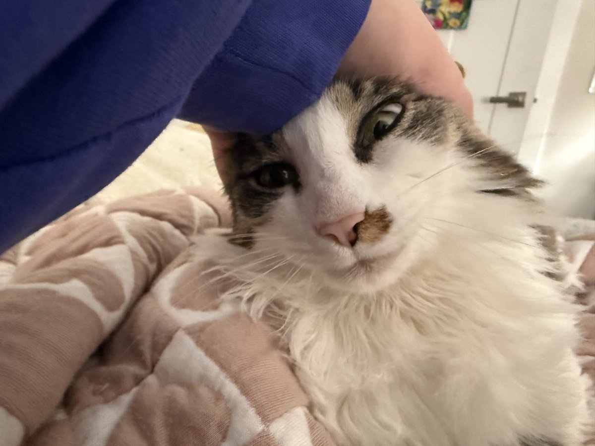 chewy let me burger her tonight with no protest. she knew i needed it today