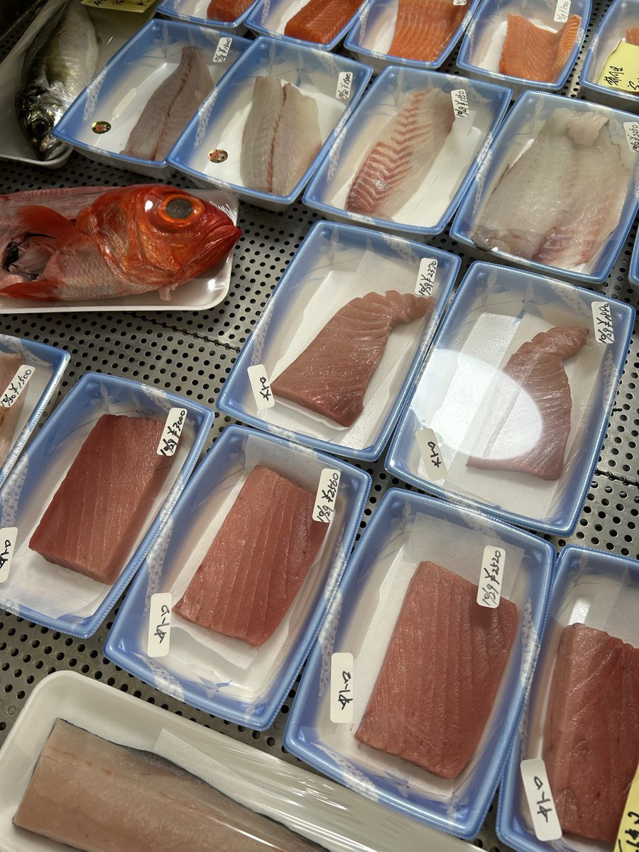 うおとら様　確認用 うおとら様 確認用 うおとら様 確認用 魚寅