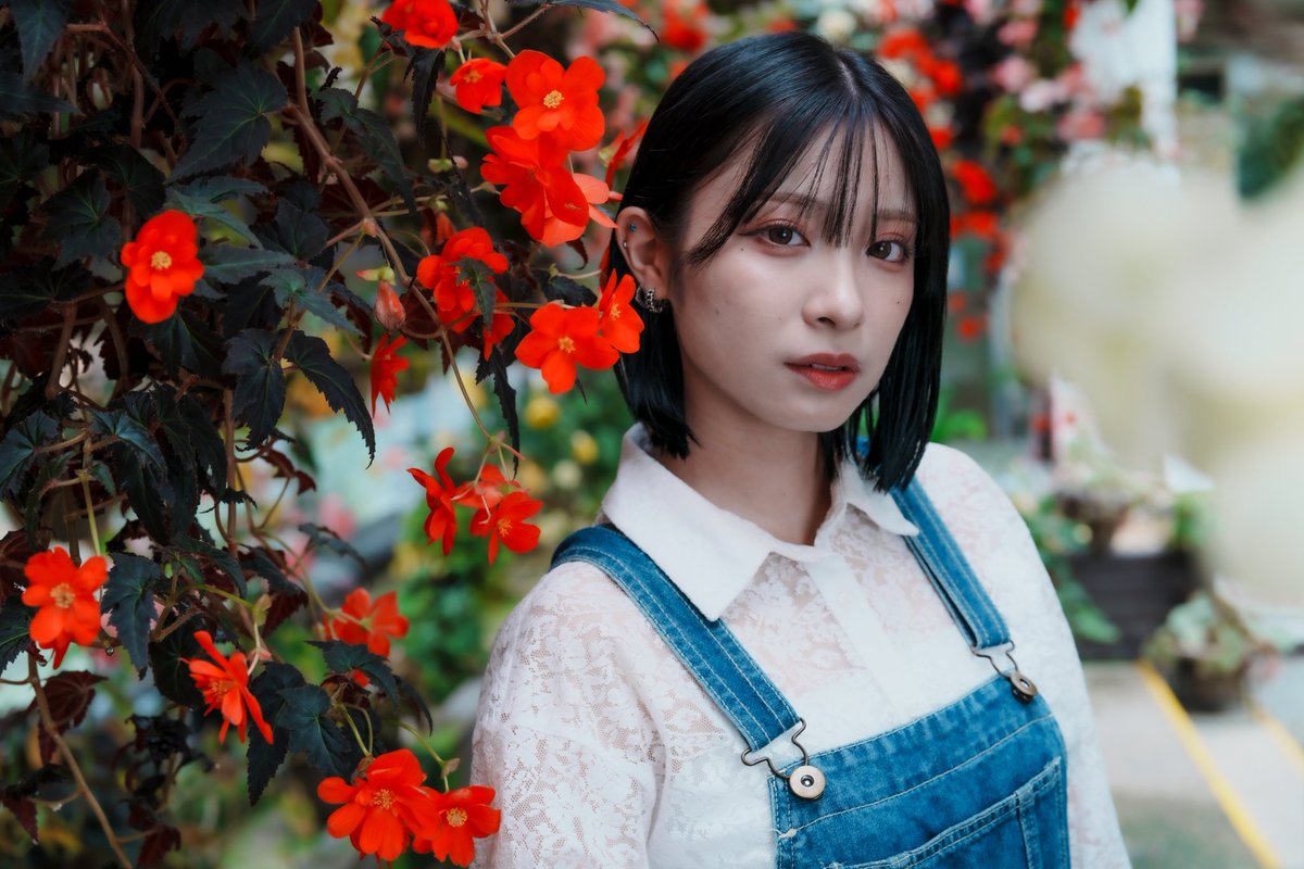 華 ページ ぷうぺー on X