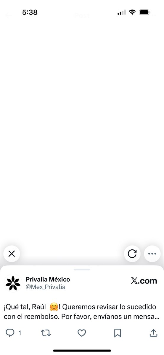 Raúl Mendoza tweet media