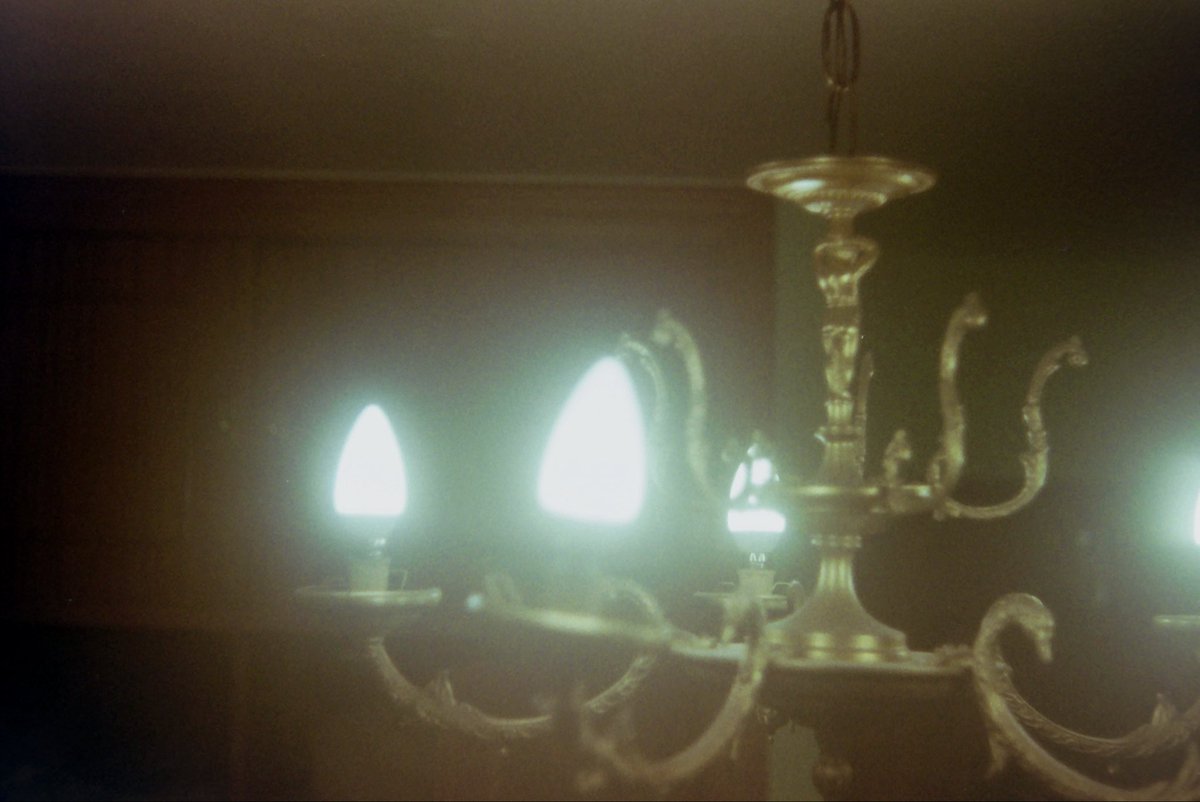 manolo trovato (jobsearching) tweet media