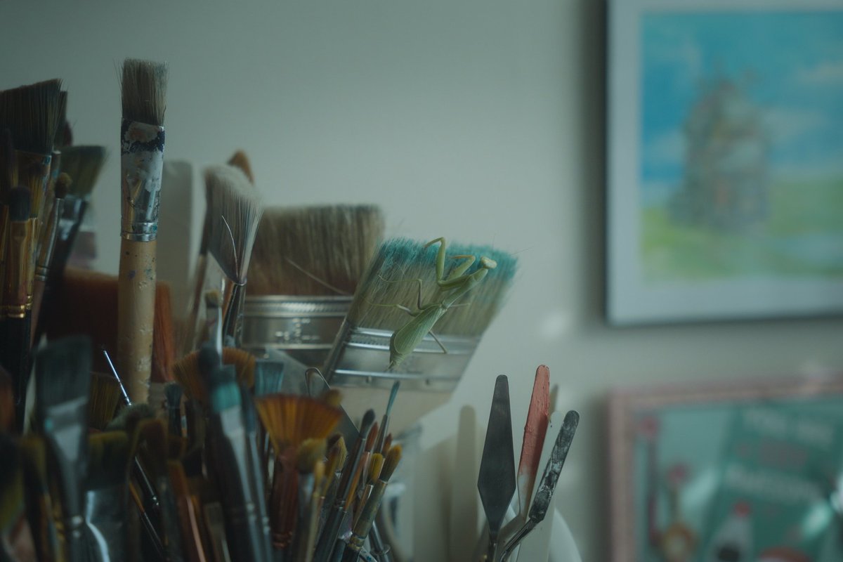 AngelaBermudezA's tweet image. "Don't mind me, just keep scrolling"

I got nervous but it was cute regardless. Took it back to the yard because obviously I can't work with someone else in the room! 🫣
#mantis #prayingmantis #artstudio #journey