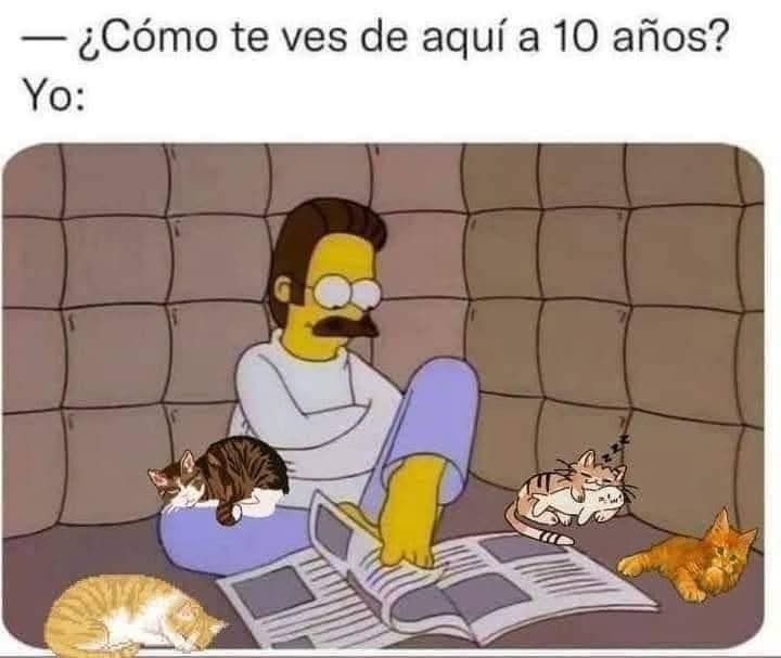 DonMemazos's tweet photo. https://t.co/yBSnU6nsGE