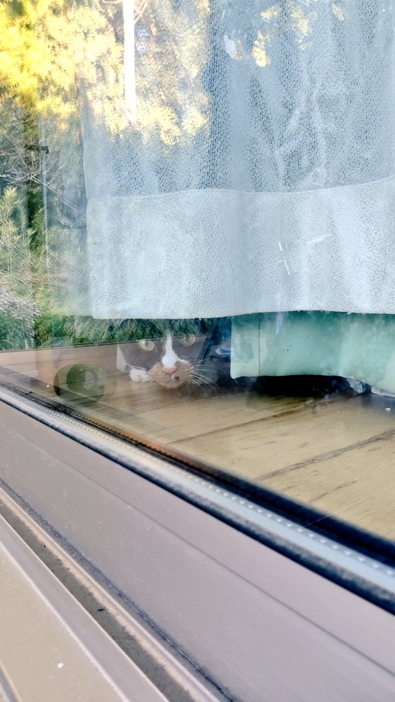 あきじろう あきじろう (@ak_snowboard) / Posts / X