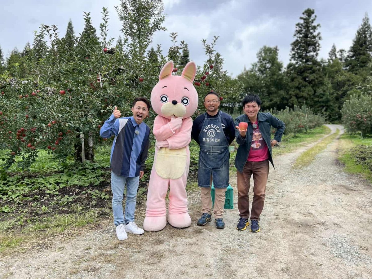 うさひ 桃色ウサヒ on X