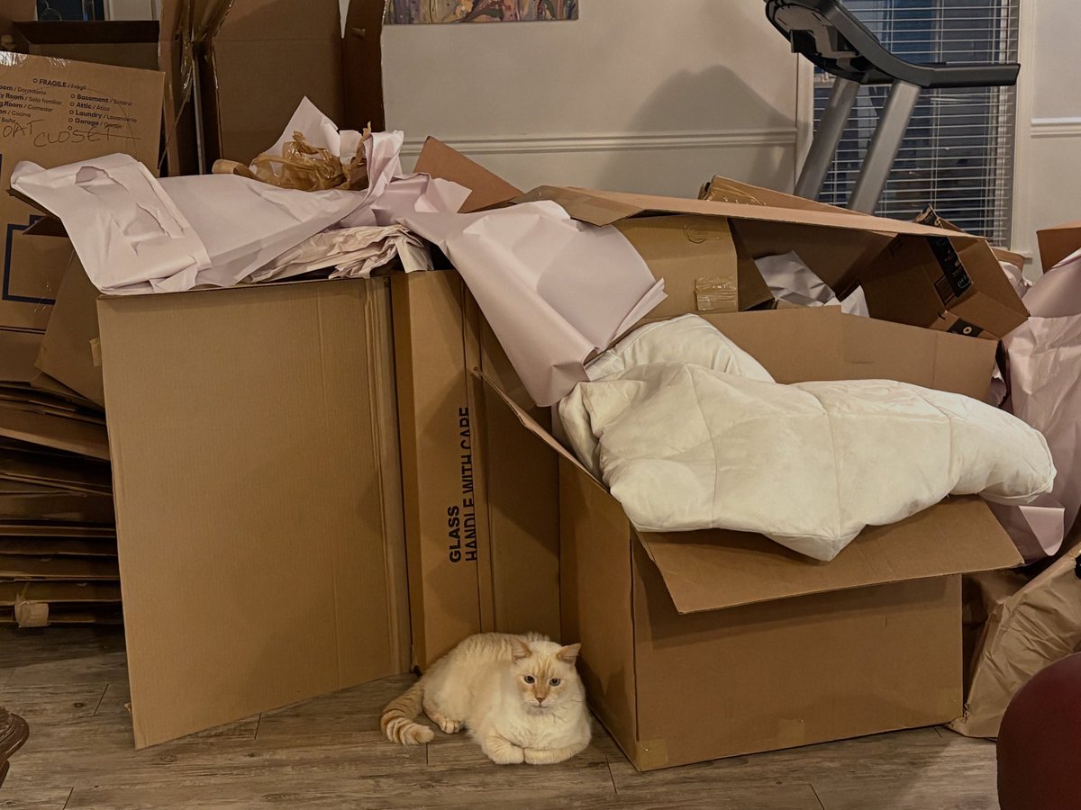 MelindaHoward4's tweet photo. Castro is jealously guarding the pile of empty boxes.
Heโs like a little fuzzy dragon watching over his hoard!!!
#Castro #CatsAndBoxes https://t.co/tBCsBILtGX