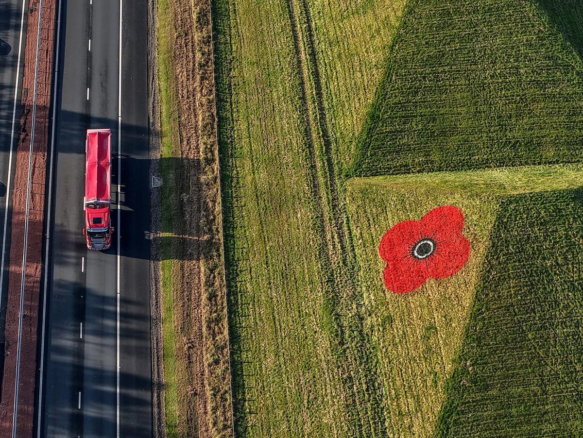 Dave Johnston tweet media