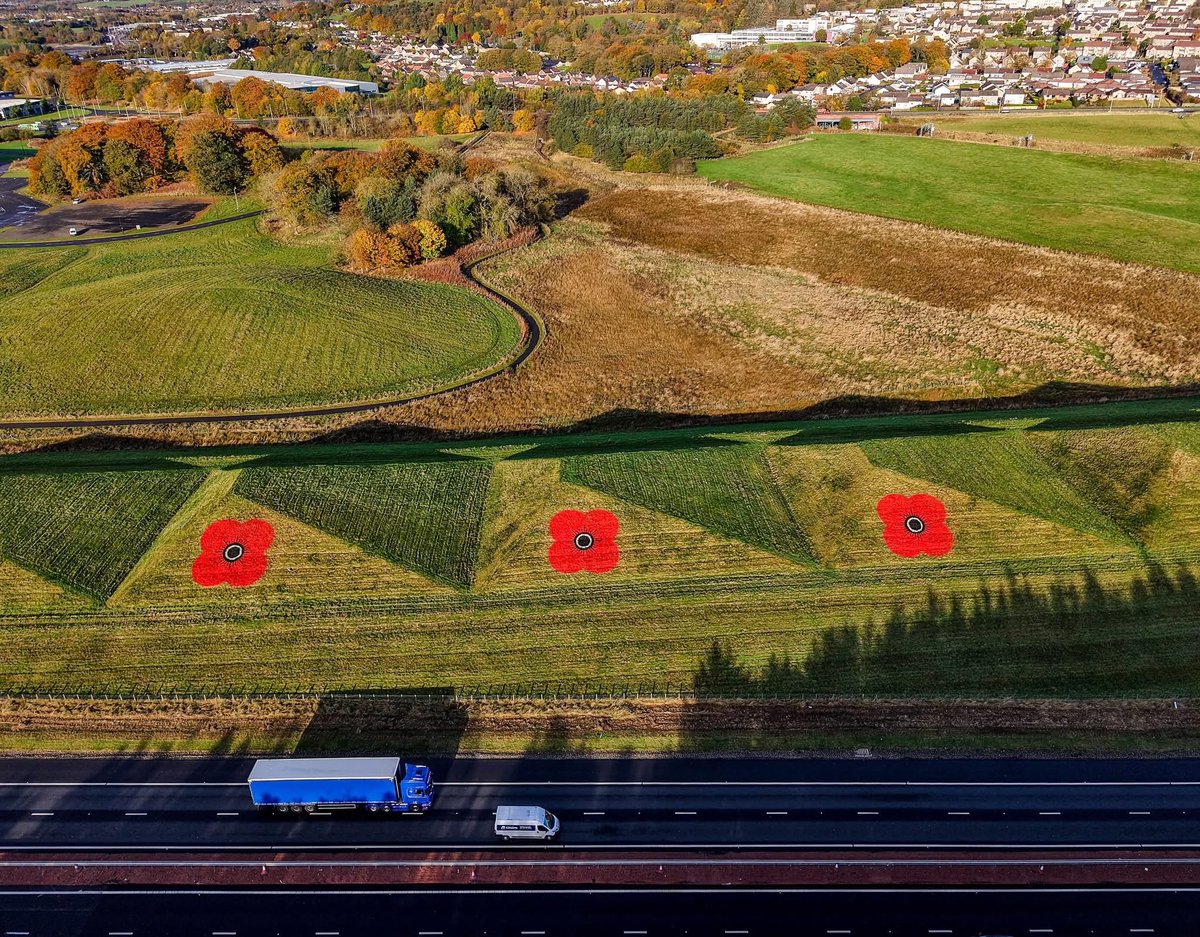 Dave Johnston tweet media