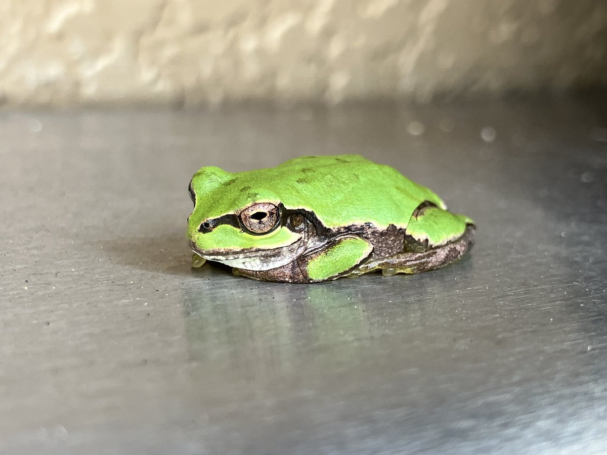 【やっさん】 NonSmokingRider加藤 on X