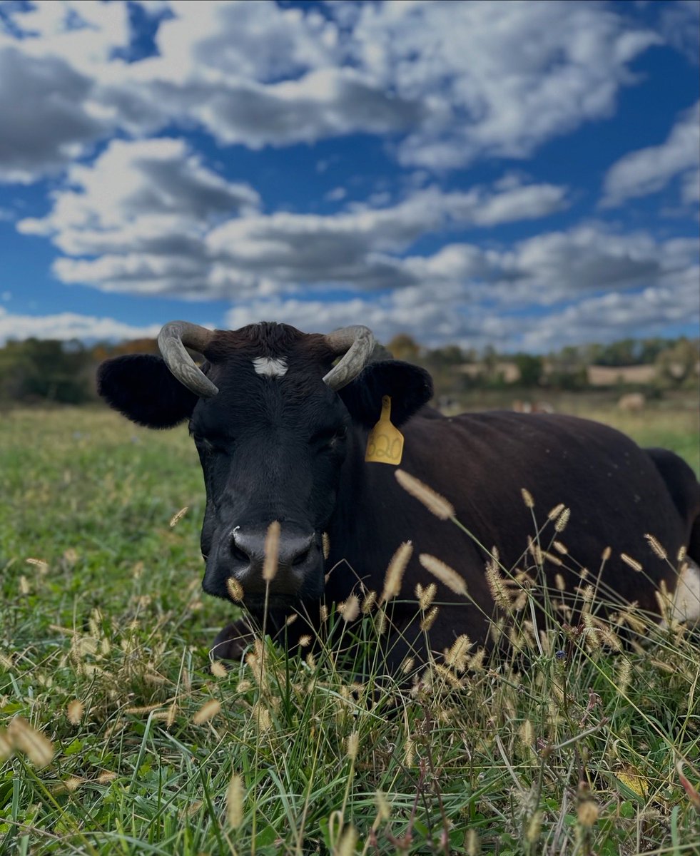 Prigel Family Farm x PARK’d coming to Season 9 on <a href="/foxnation/">Fox Nation</a>!