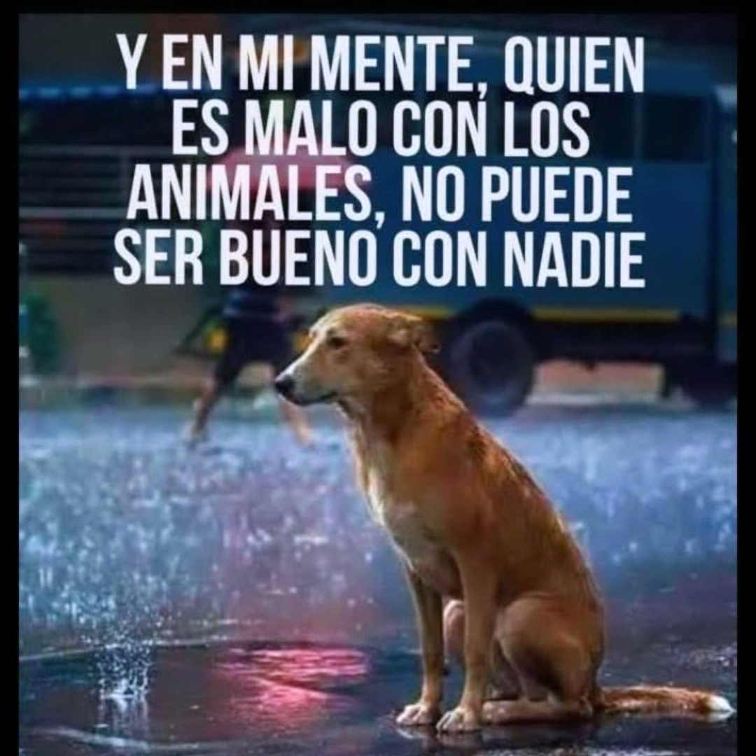 MarcosOddino's tweet photo. https://t.co/uhAMowO7Hh