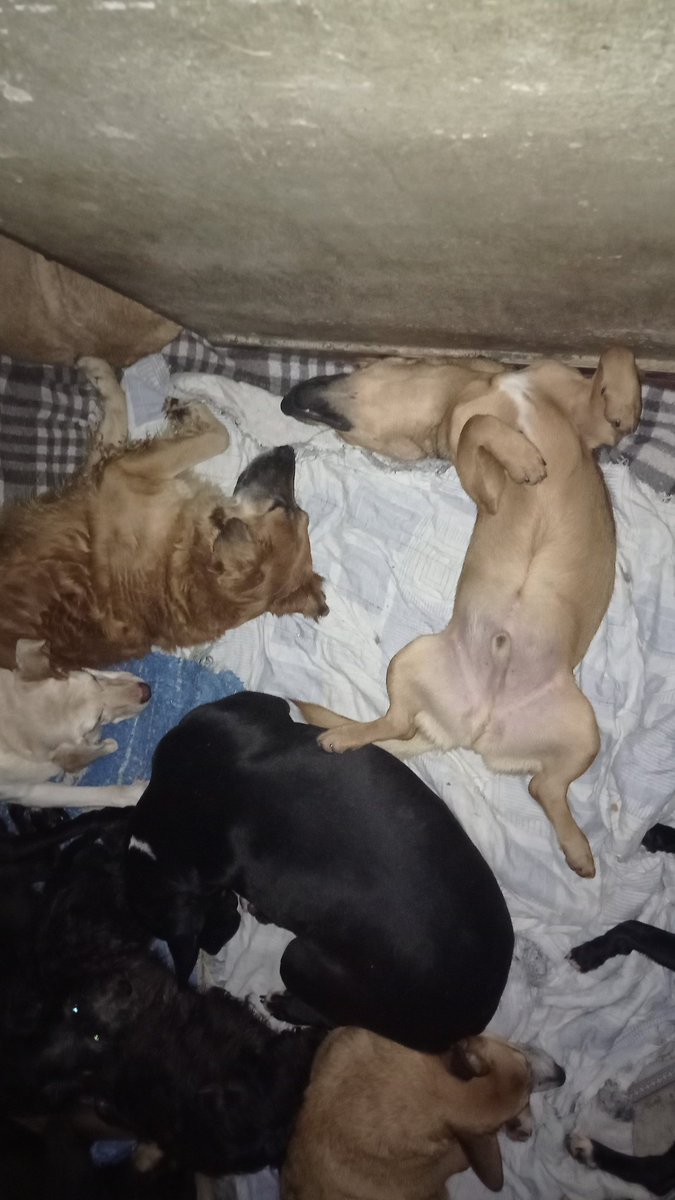 Abrir mão de tudo pra cuidar deles.
Hj só temos a ajuda de vocês .
Nos ajudem nessa luta. Falta R$6.750 ate sexta 31
Pix CPF 077.469.026-77 Walisson