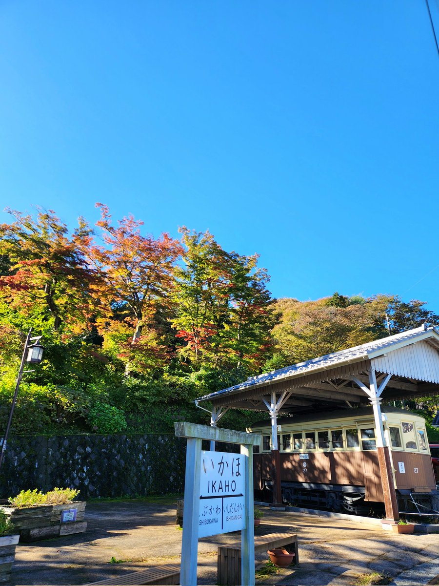 ikaho_onmusu_'s tweet image. 今朝も青空広がる気持ちのいいお天気っ☀️✨️

秋っぽくちょっと風がひんやりするので…暖かくしましょうねっ🧥🎶

今日から河鹿橋の紅葉ライトアップが始まりますよっ🍁✨️
緑の葉っぱが多いこの時期も綺麗なんですよね～🌿🍂🎶
#伊香保温泉
#温泉むすめ
#イマソラ