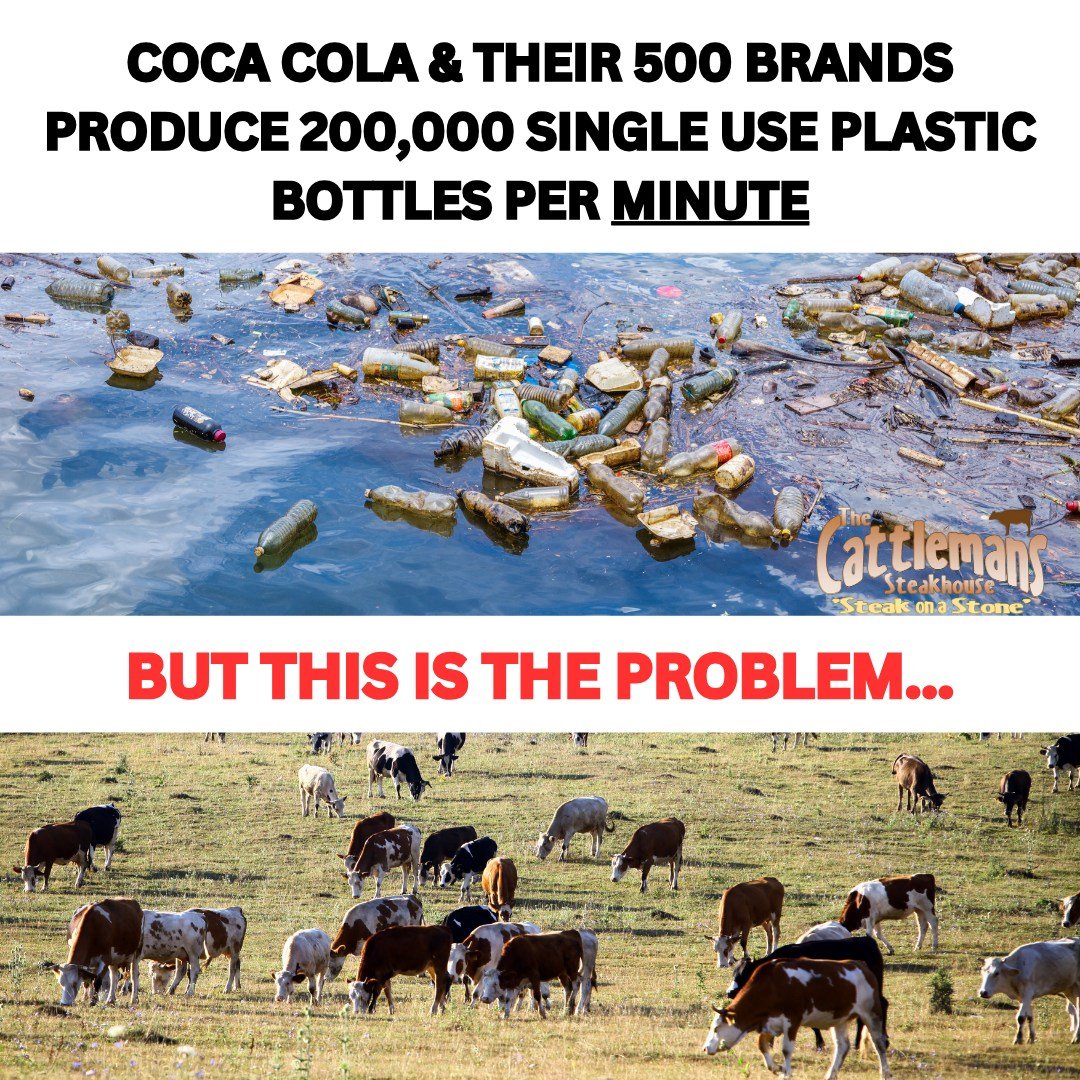 Ivor Cummins (@fatemperor) on Twitter photo 