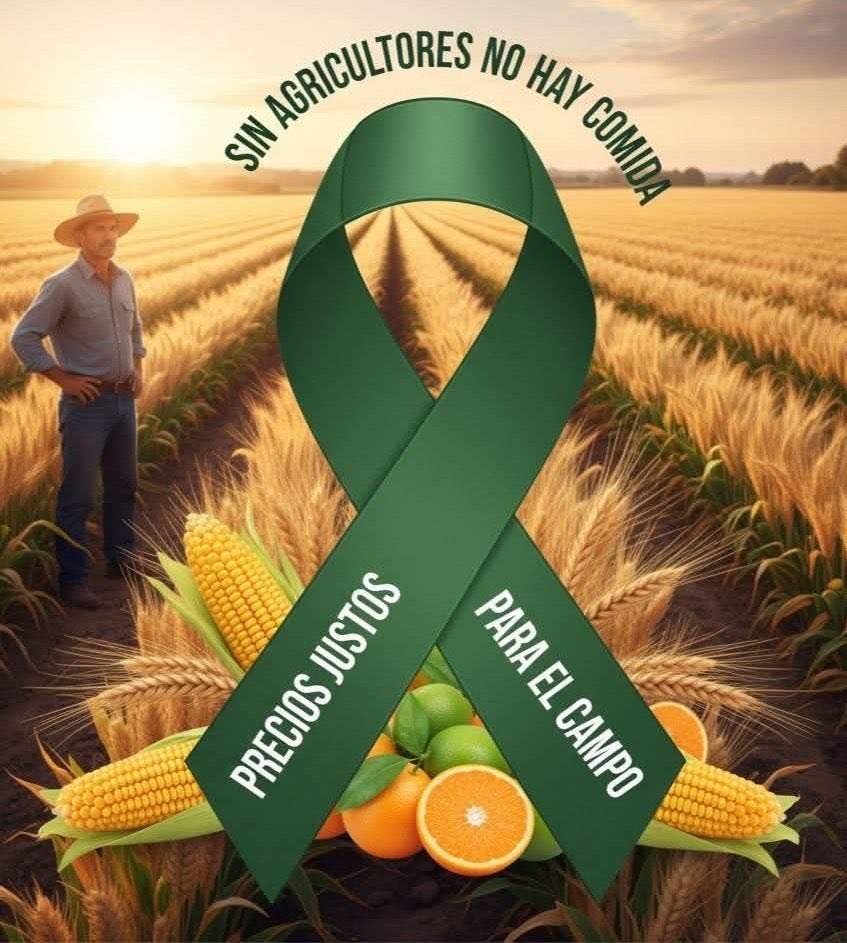 Es momento de apoyar al campo. Deberíamos sumarnos todos. Médicos, enfermeros, maestros, madres buscadoras, pequeños empresarios y cada sector afectado por la indolencia de este gobierno.

Si se cae el campo mexicano se cae el país.