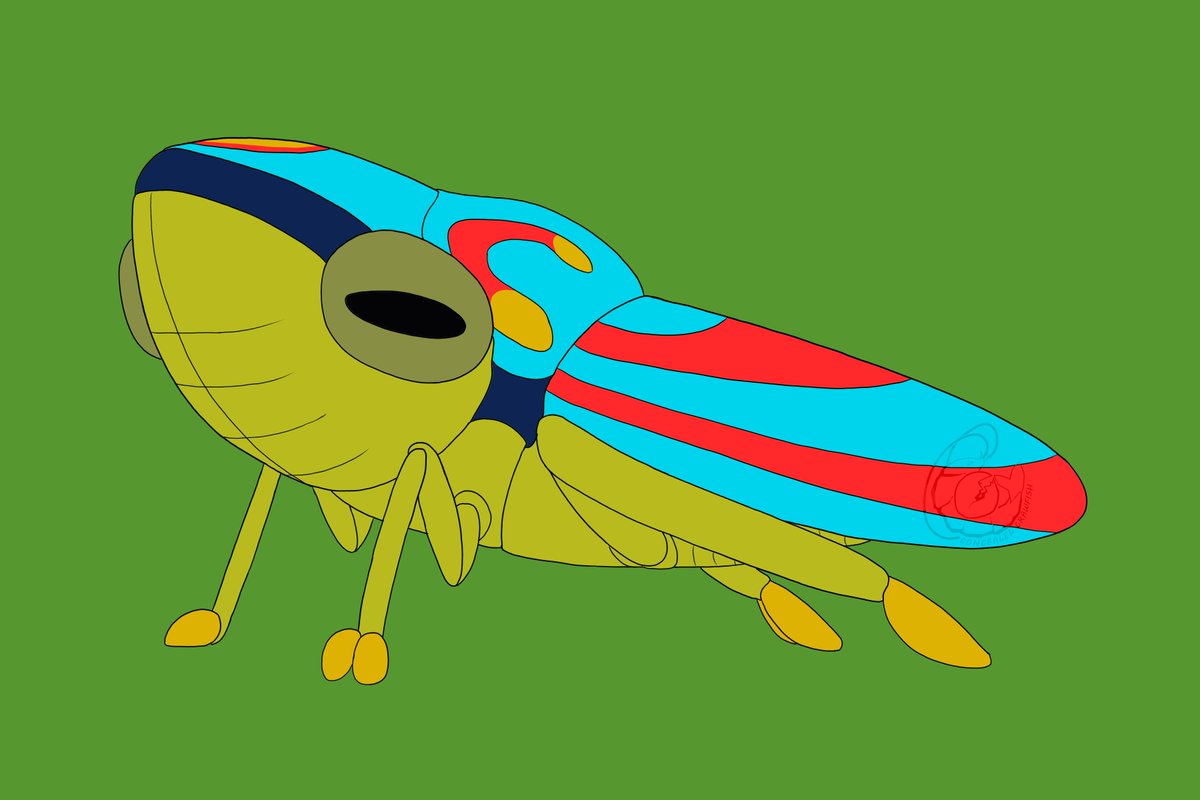 Concealcrawfish's tweet image. Red Banded Leafhopper #invertober #leafhopper